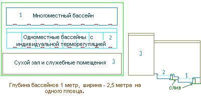 Специализированный бассейн