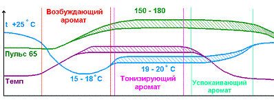 Динамика тренировки